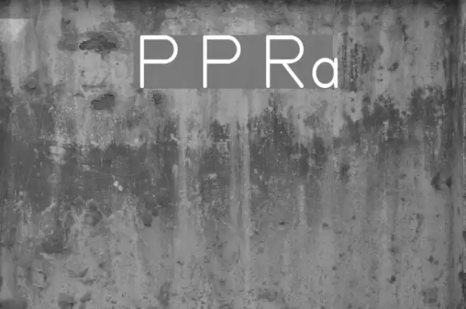 Primer Print Regular Font examples