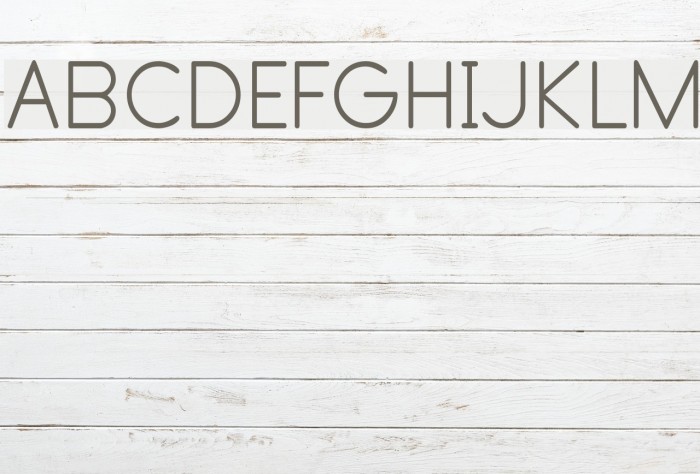 Primer Print Font examples
