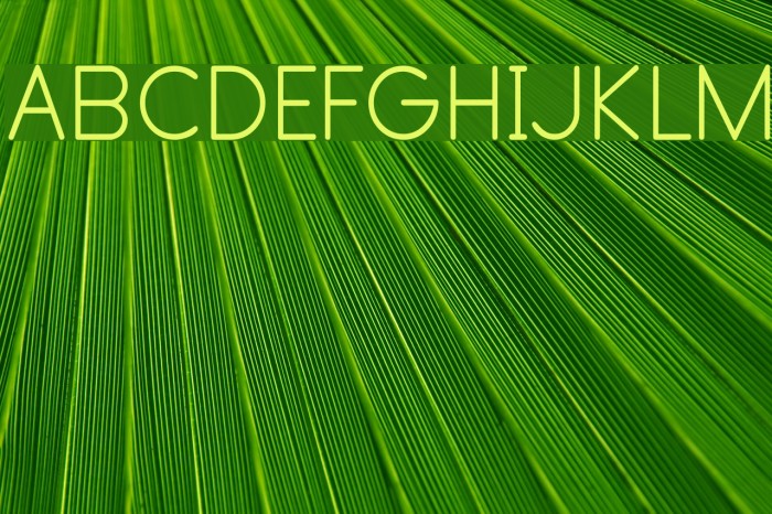 Primer Print Font examples