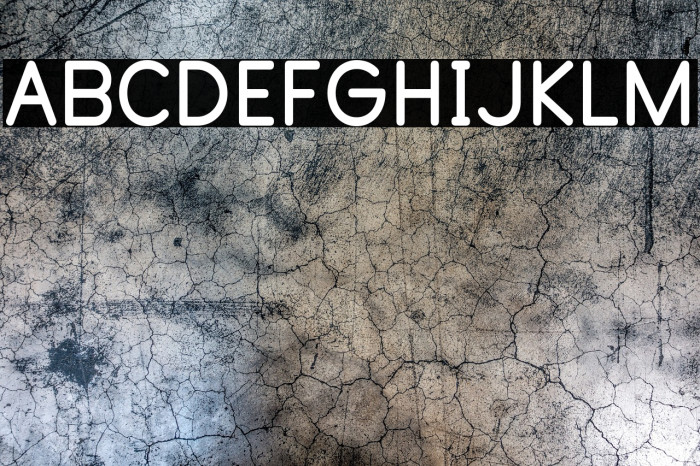 PrimerPrint-Bold Example 3