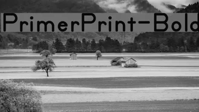 PrimerPrint-Bold Font examples