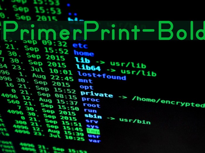 PrimerPrint-Bold Font examples