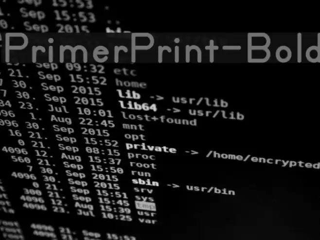 PrimerPrint-Bold Font examples