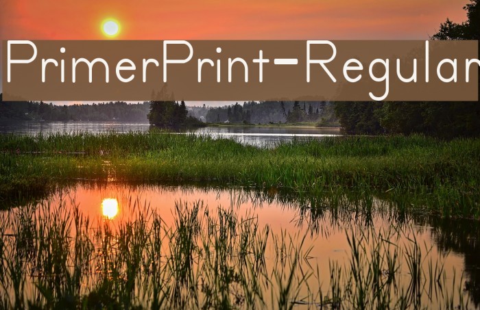 PrimerPrint-Regular Font examples