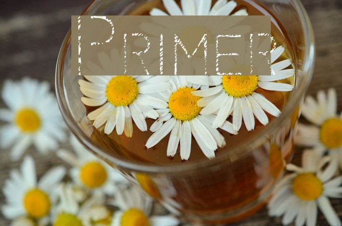 Primer Font examples