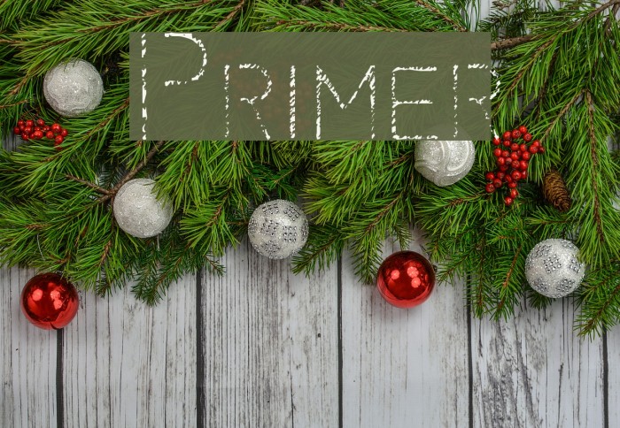 Primer Font examples