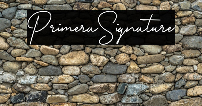 Primera_Signature Font examples