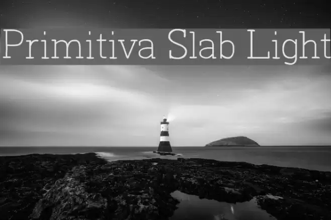 Primitiva Slab Light Font examples