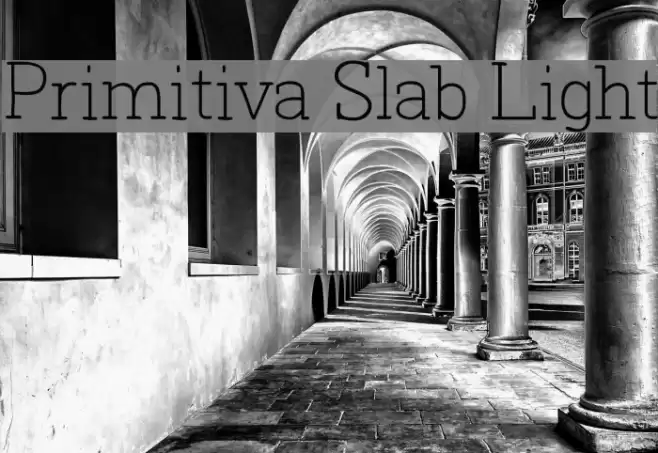 Primitiva Slab Light Font examples