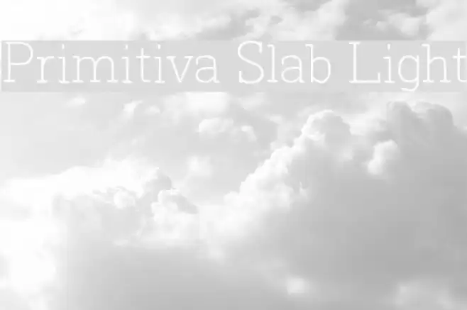 Primitiva Slab Light Font examples