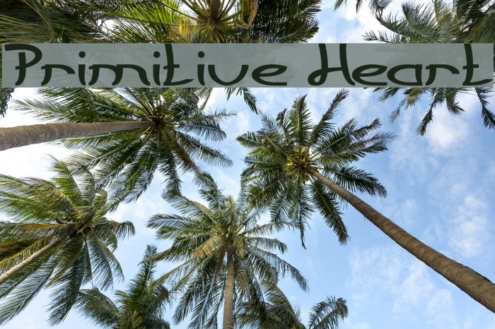 Primitive Heart Font examples