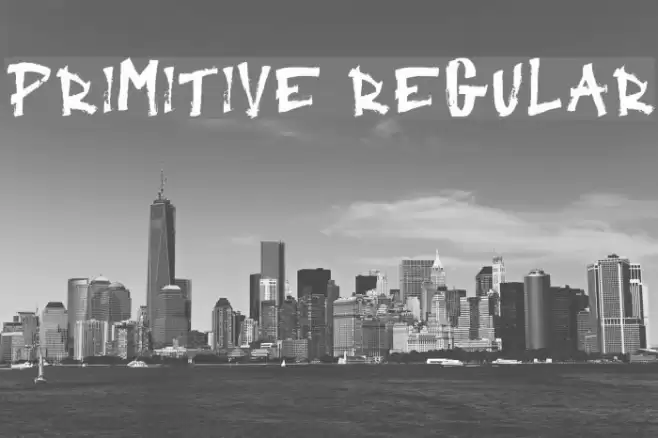 Primitive Regular Polices examples