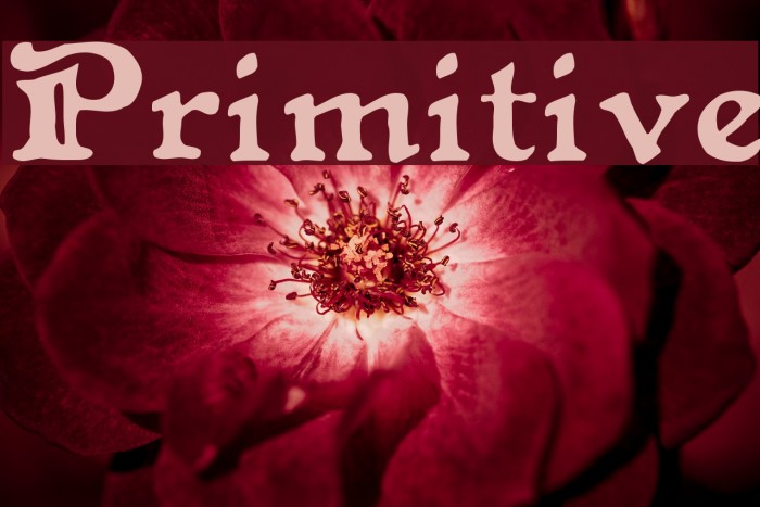 Primitive Font examples