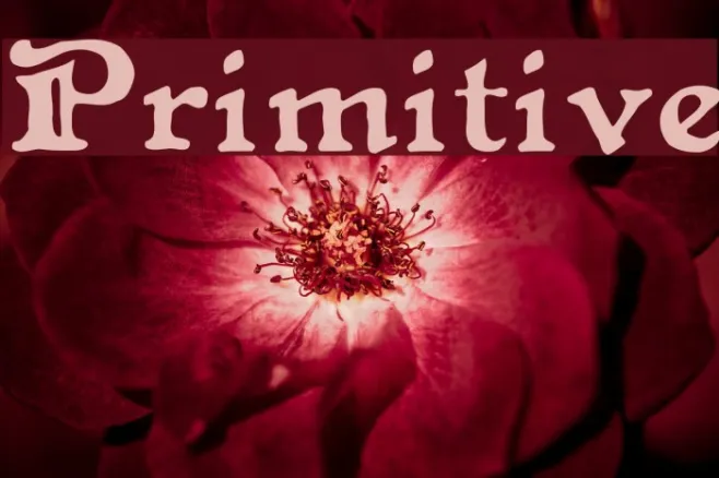 Primitive Example 2