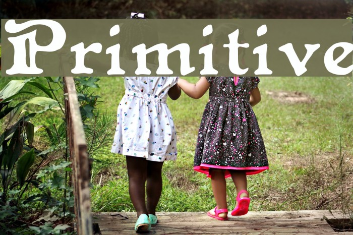 Primitive Font examples