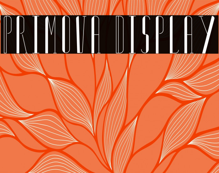 Primova Display Example 1