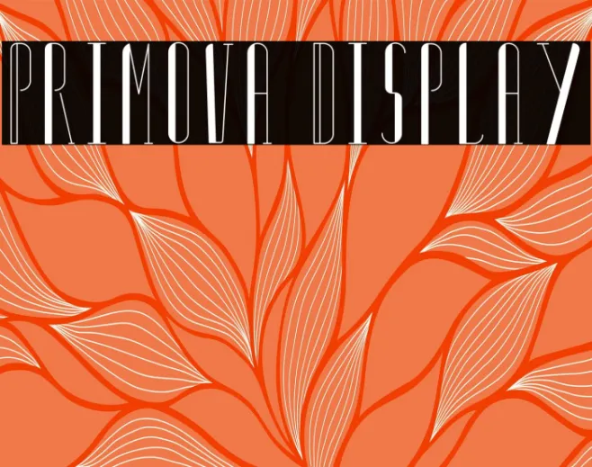 Primova Display Example 1