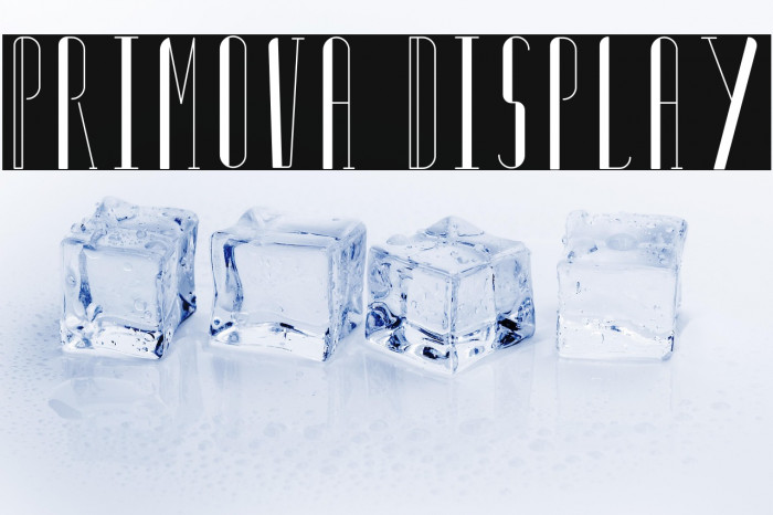 Primova Display Example 3