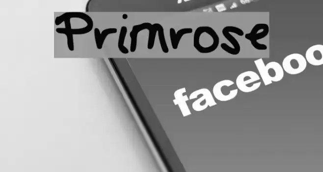 Primrose Font examples