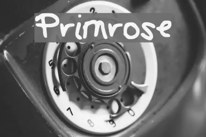 Primrose Font examples