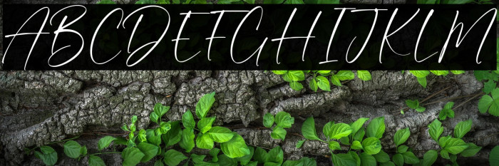 Prince August Example 2