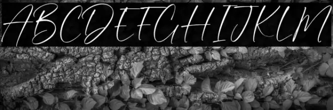 Prince August خط examples