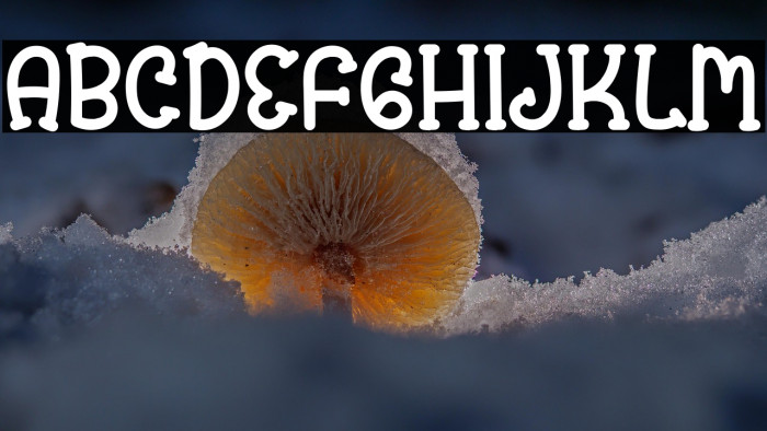 Prince Baby Example 3