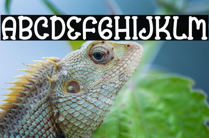 Prince Baby Example 1