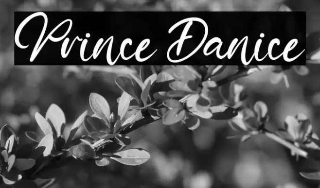 Prince Danice Font examples