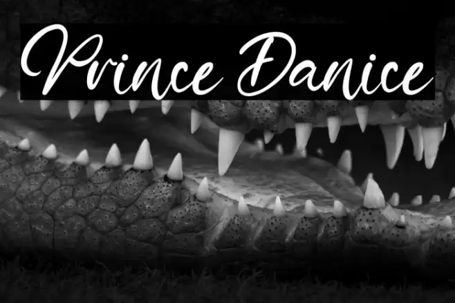 Prince Danice Font examples