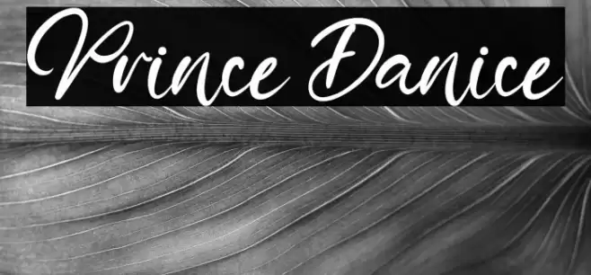 Prince Danice Font examples