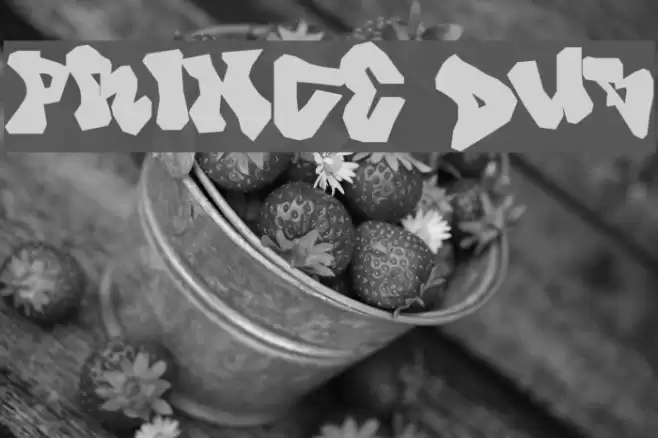 Prince Dub Font examples