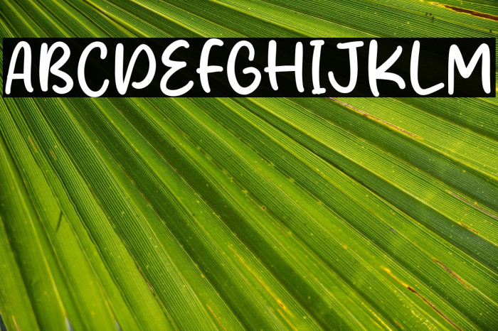 Prince Kaya Example 2