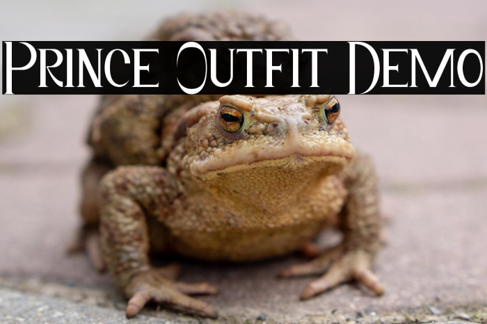 Prince Outfit Demo Example 3