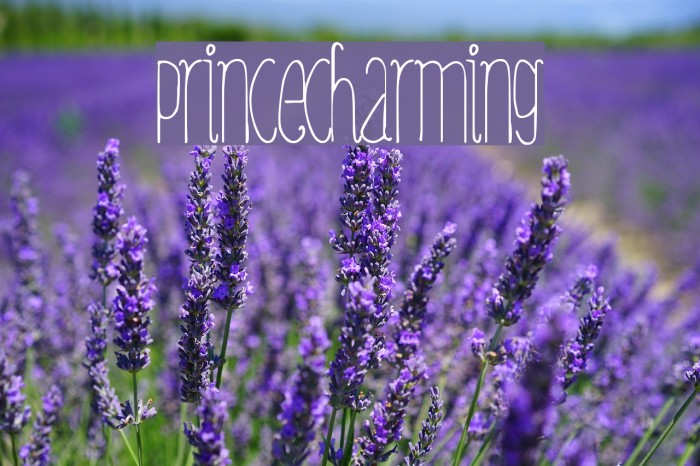 PrinceCharming Font examples