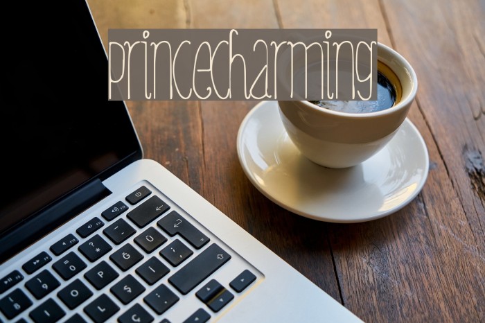 PrinceCharming Font examples