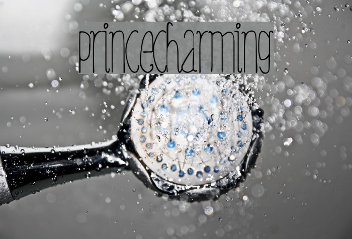 PrinceCharming Font examples