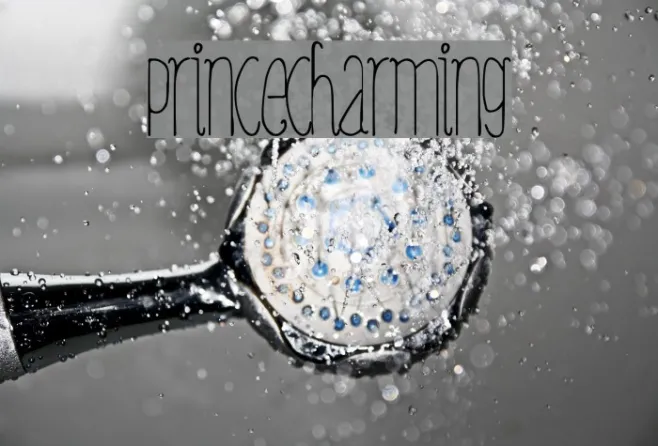 PrinceCharming Example 3