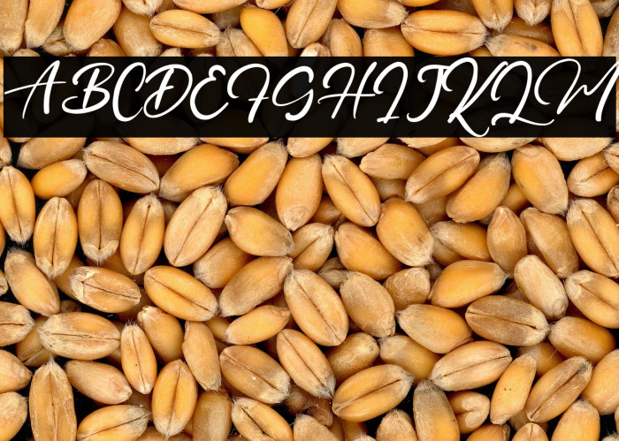 PrinceDanice Example 1