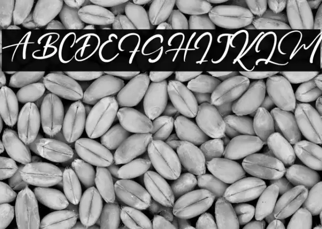 PrinceDanice Font examples