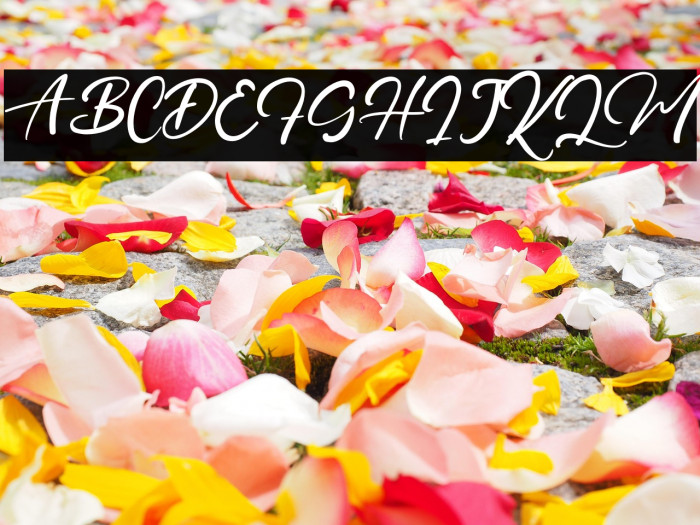 PrinceDanice Example 3