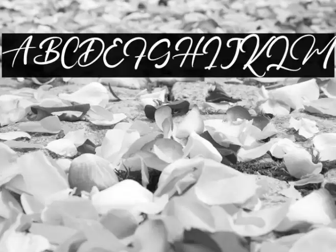 PrinceDanice Font examples