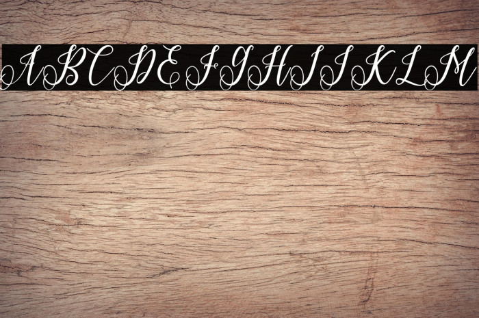 Princella-Bold Example 1