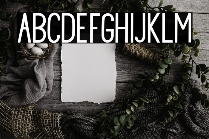 PrincellaSans Example 1