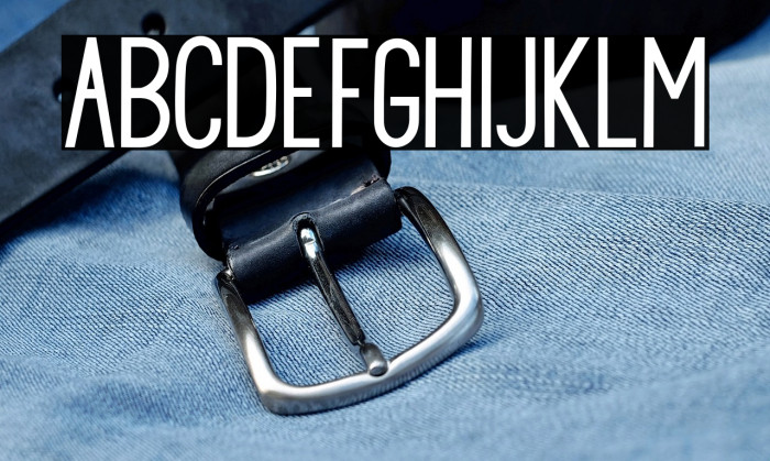 PrincellaSans Example 2