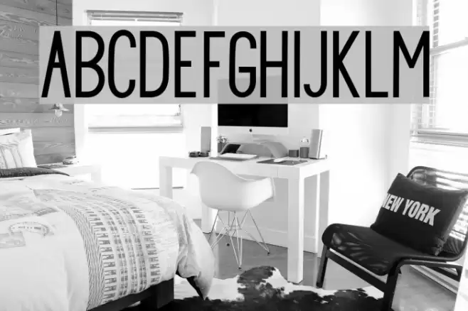 PrincellaSans Font examples