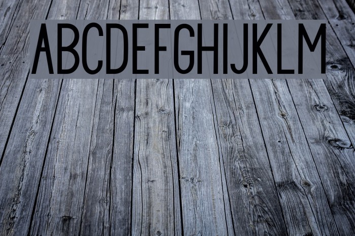 PrincellaSans Font examples