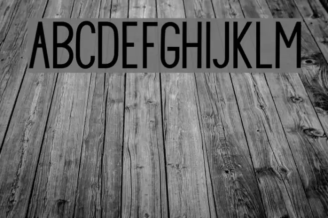 PrincellaSans Font examples