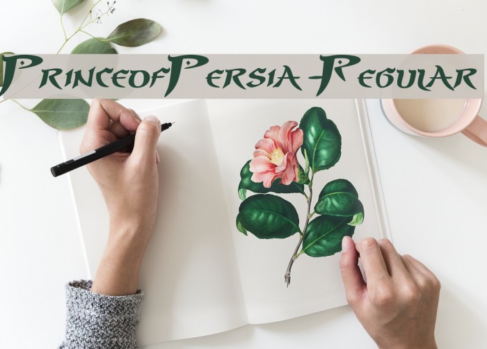 PrinceofPersia-Regular Example 2