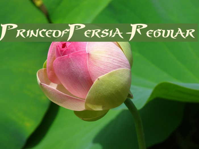 PrinceofPersia-Regular Example 3